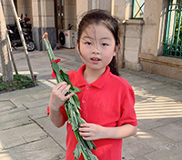 又是一年端午節(jié)，家家掛艾懸菖蒲