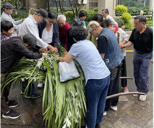 “粽”在分享 傳遞“艾”意|新聯(lián)合端午活動精彩紛呈